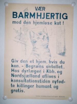 Vær barmhjertig for den hjemløse kat - org vintage poster