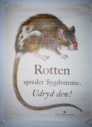 Rotten spreder sygdomme - plakat